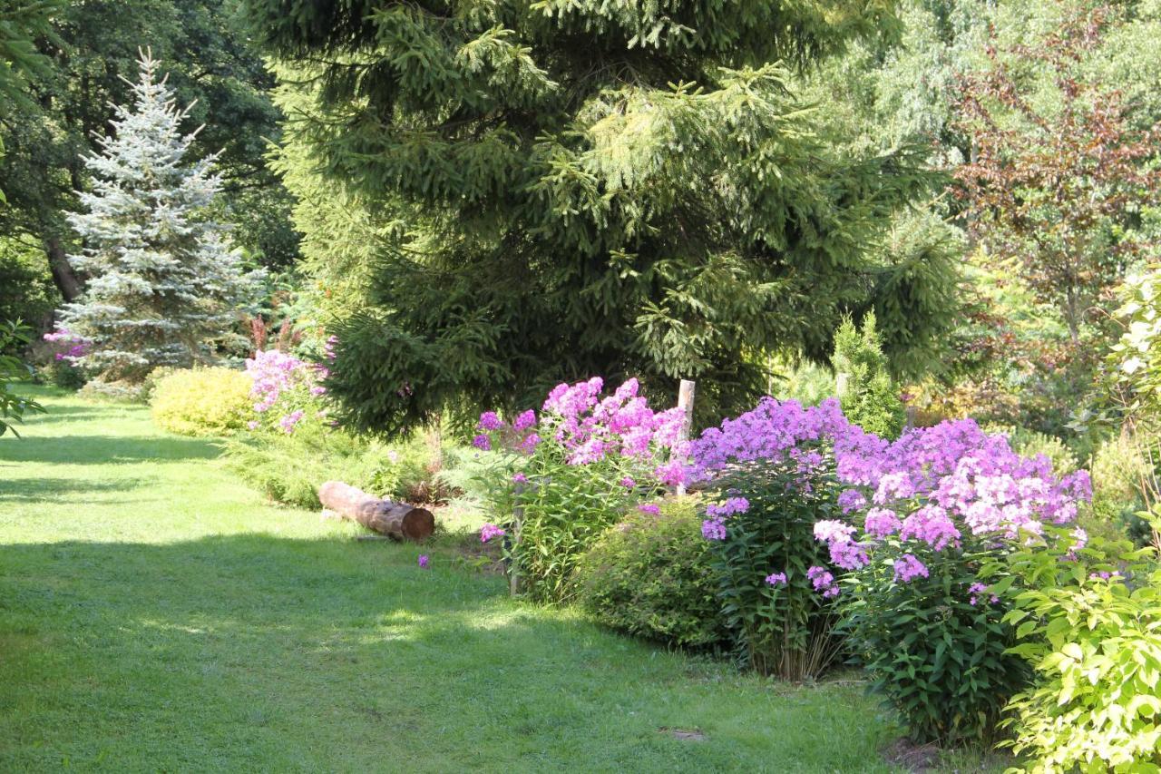 Bed and Breakfast Domjana Lubiatowo Lubiatowo  Zewnętrze zdjęcie