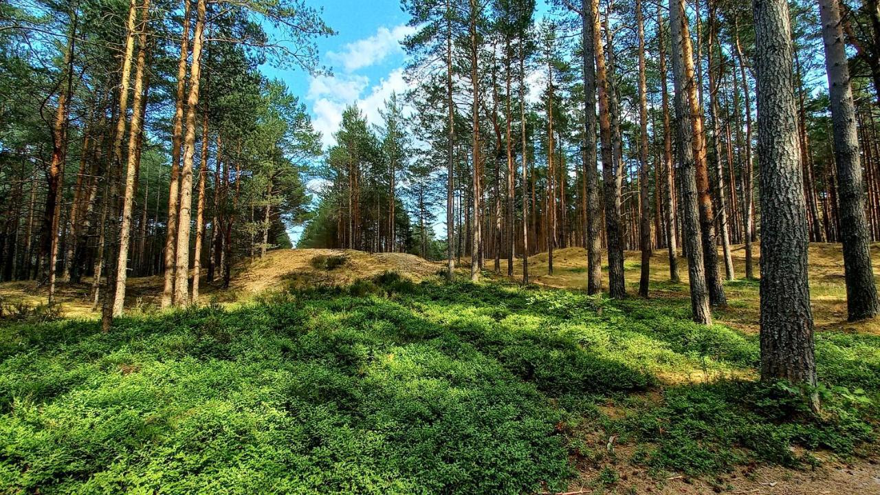 Bed and Breakfast Domjana Lubiatowo Lubiatowo  Zewnętrze zdjęcie